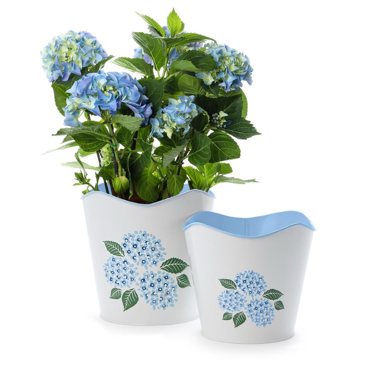 Set of 2 Hydrangea Blue Flower Cachepots includes 2 Sizes