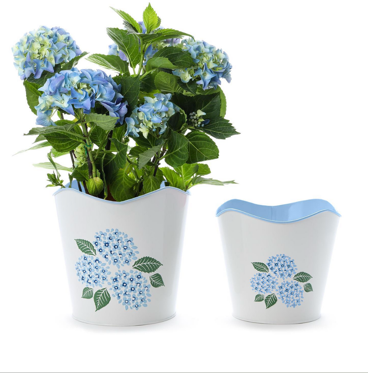 Set of 2 Hydrangea Blue Flower Cachepots includes 2 Sizes